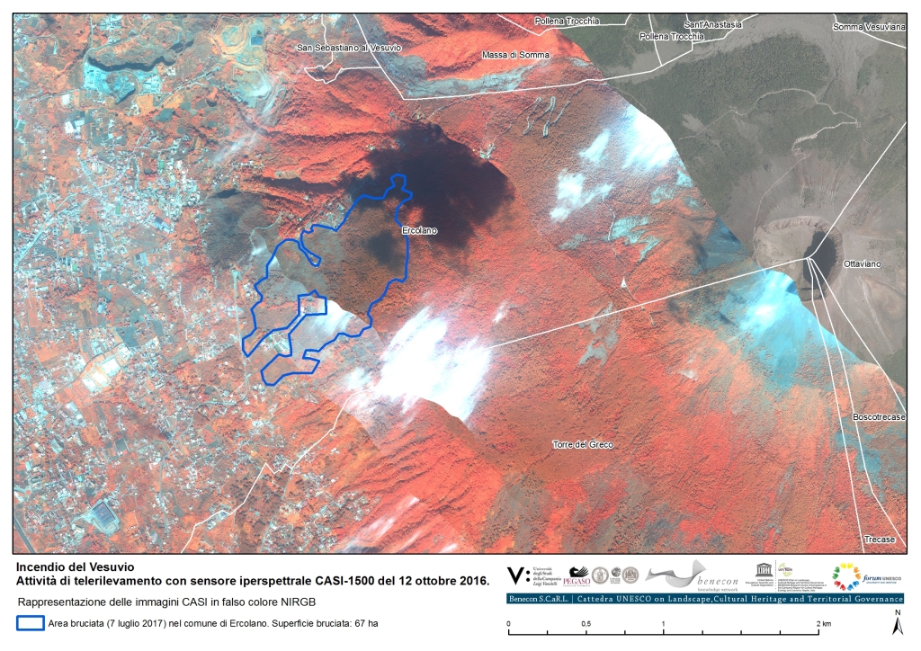 17015_Incendio_Vesuvio_CASI2016_Tav01