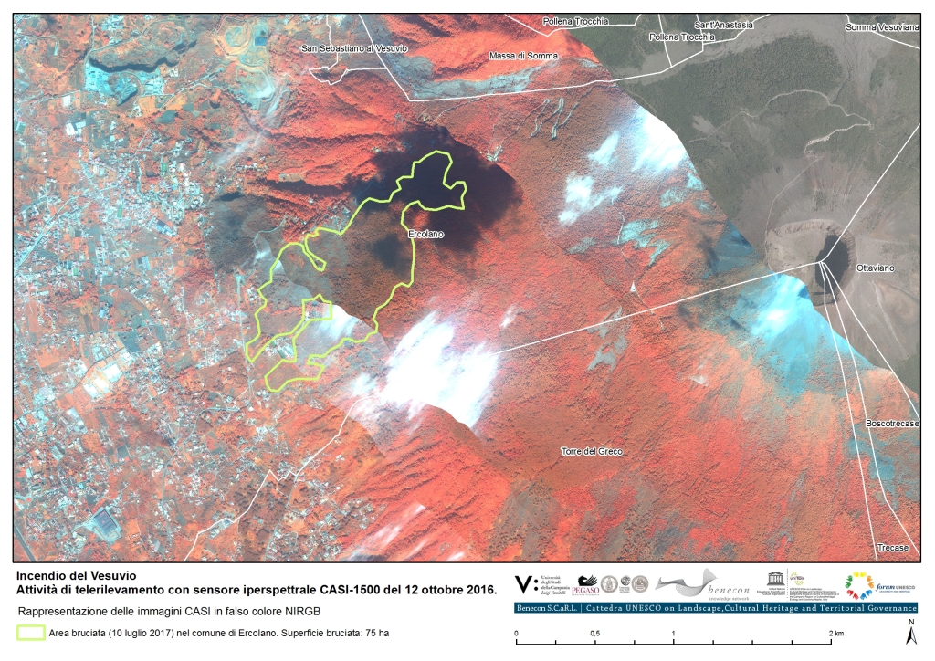 17015_Incendio_Vesuvio_CASI2016_Tav02